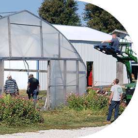 BoysGrow working in a greenhouse